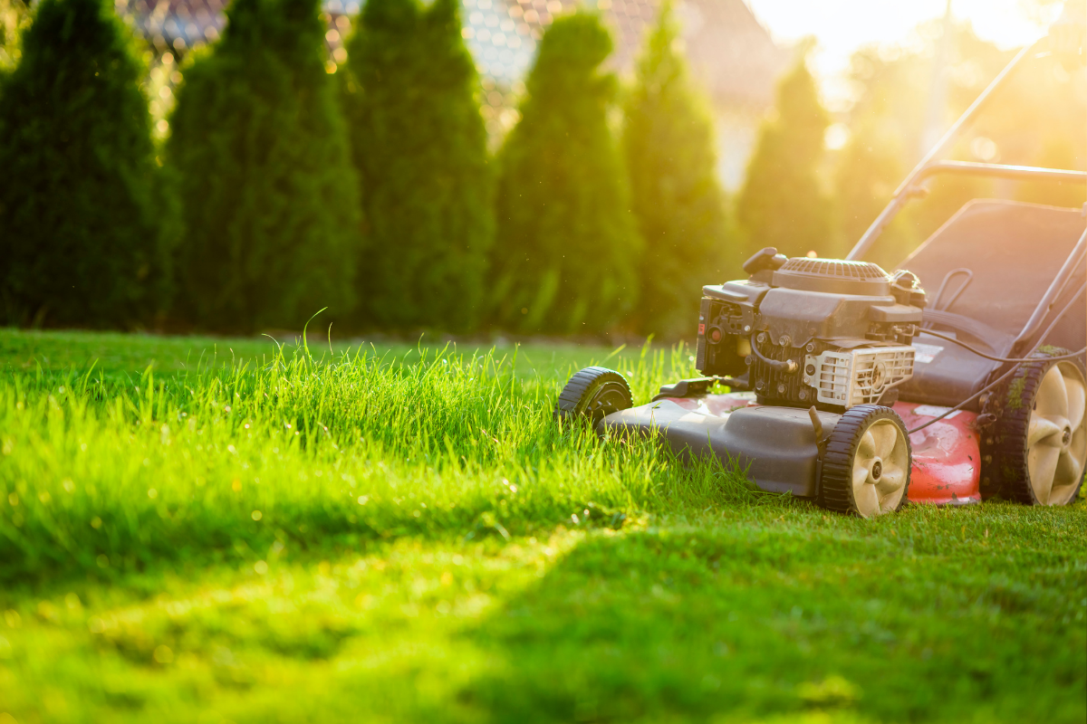 Grass Cutting